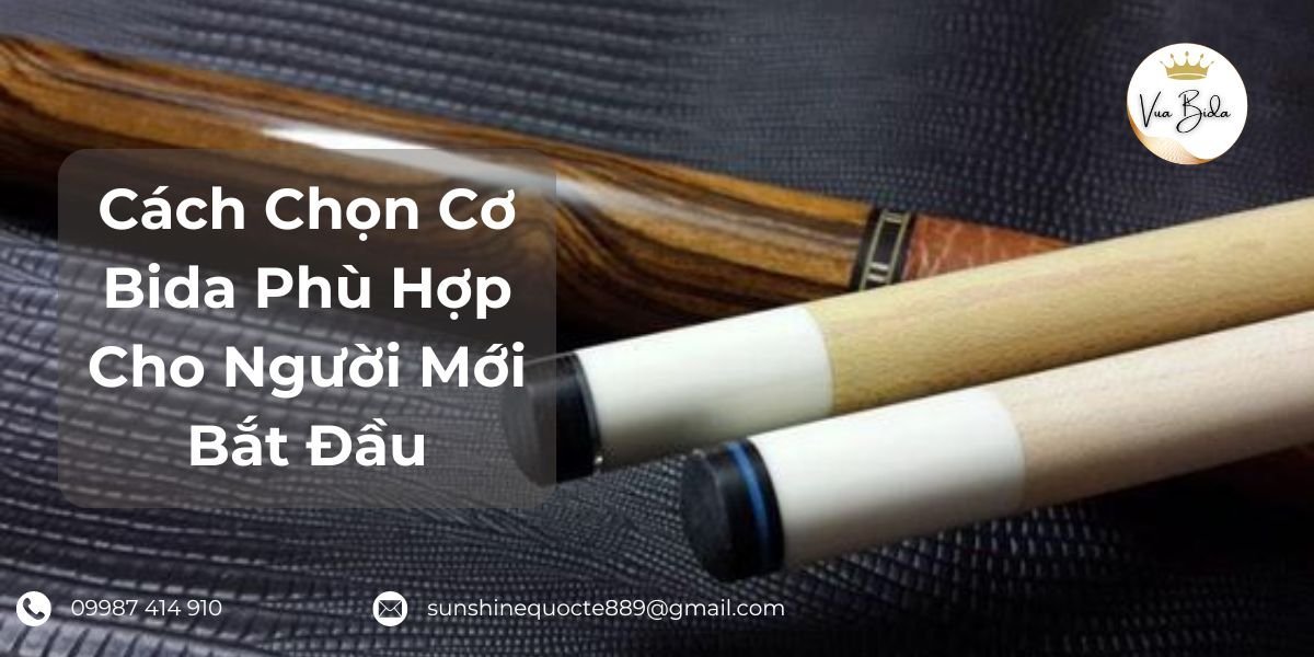 CHỌN CƠ BIDA PHÙ HỢP CHO NGƯỜI MỚI BẮT ĐẦU