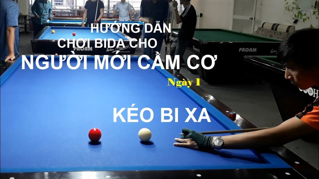 Cơ Bida Cho Người Mới Hành Trình Khám Phá Thú Vị