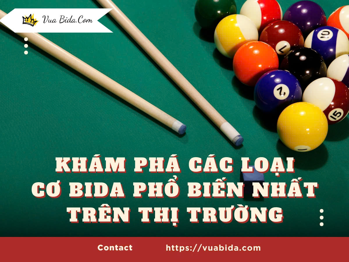 Khám Phá Các Loại Cơ Bida Phổ Biến Nhất Trên Thị Trường