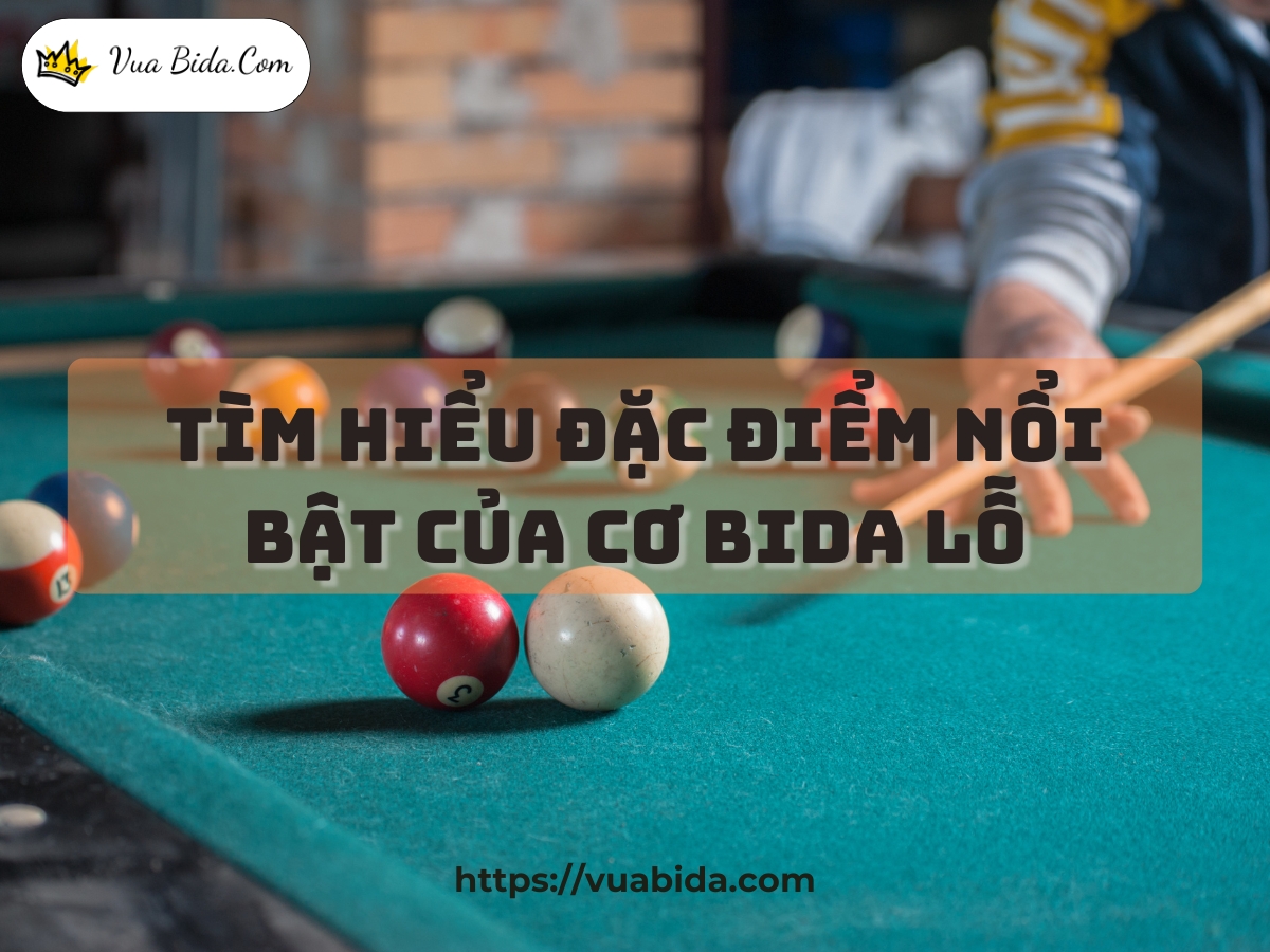 Tìm Hiểu Đặc Điểm Của Cơ Bida Lỗ