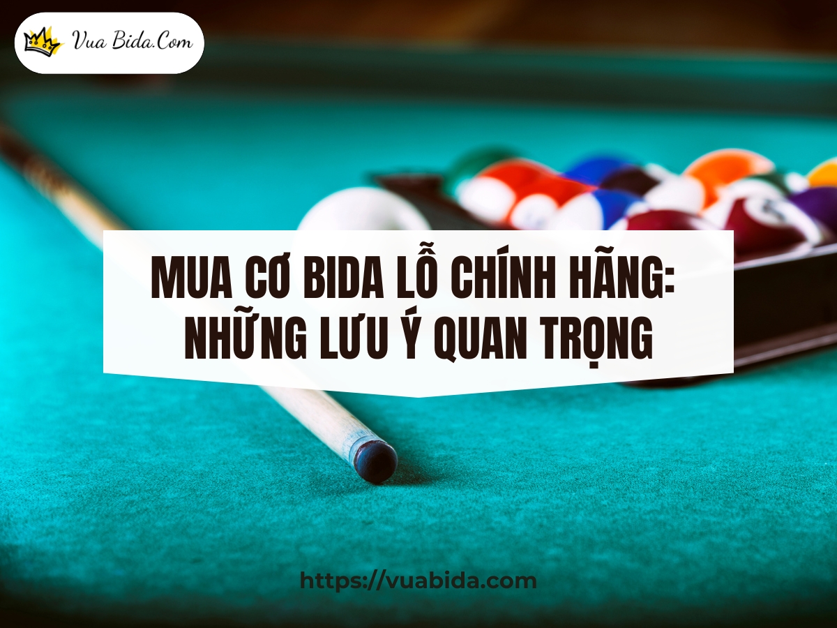 Mua Cơ Bida Lỗ Chính Hãng: Những Lưu Ý Quan Trọng