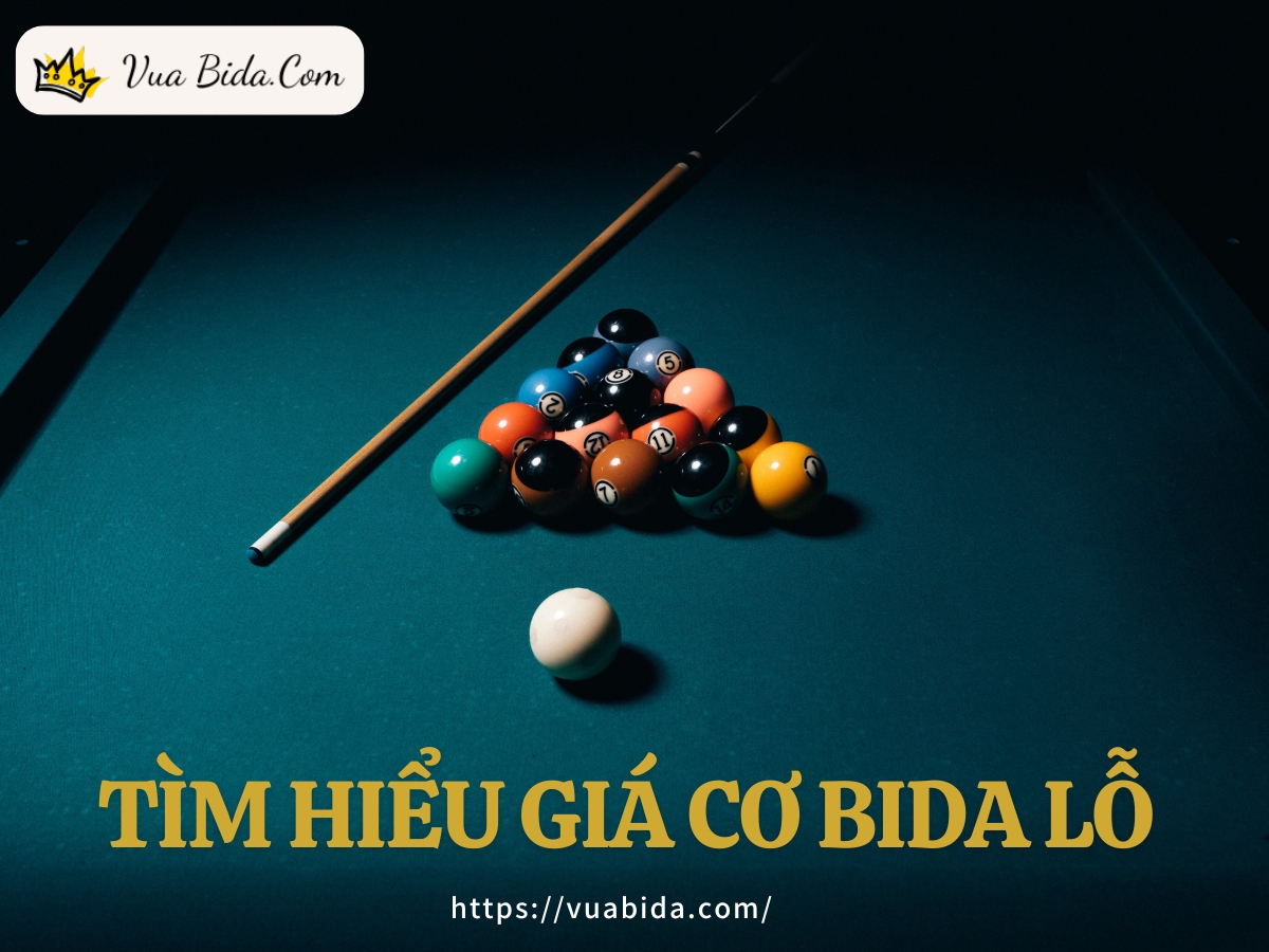 Tìm Hiểu Giá Cơ Bida Lỗ & Các Yếu Tố Ảnh Hưởng Đến Giá Cả