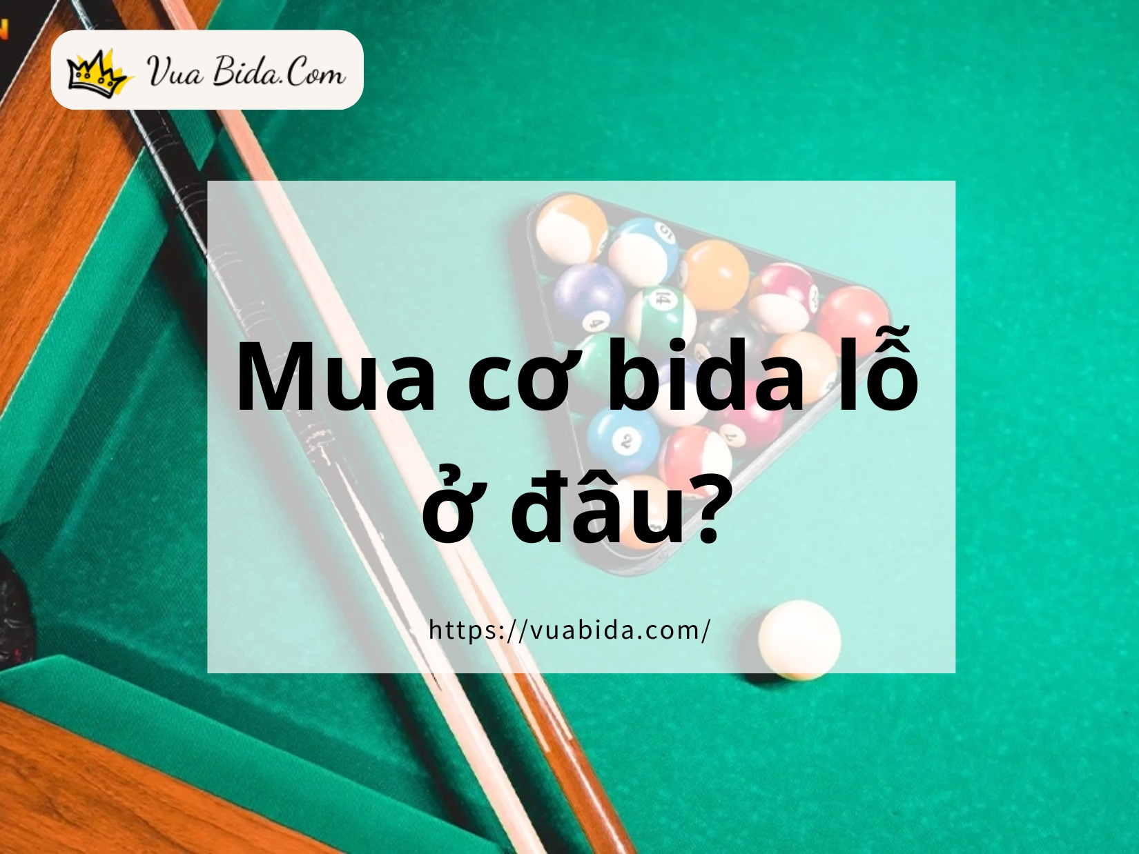 Mua cơ bida lỗ ở đâu?